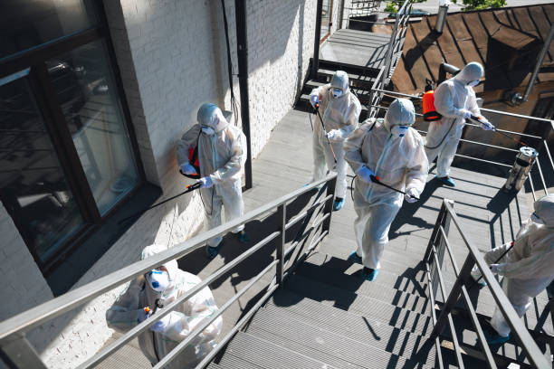 Edgewood, IN Mold Removal Company